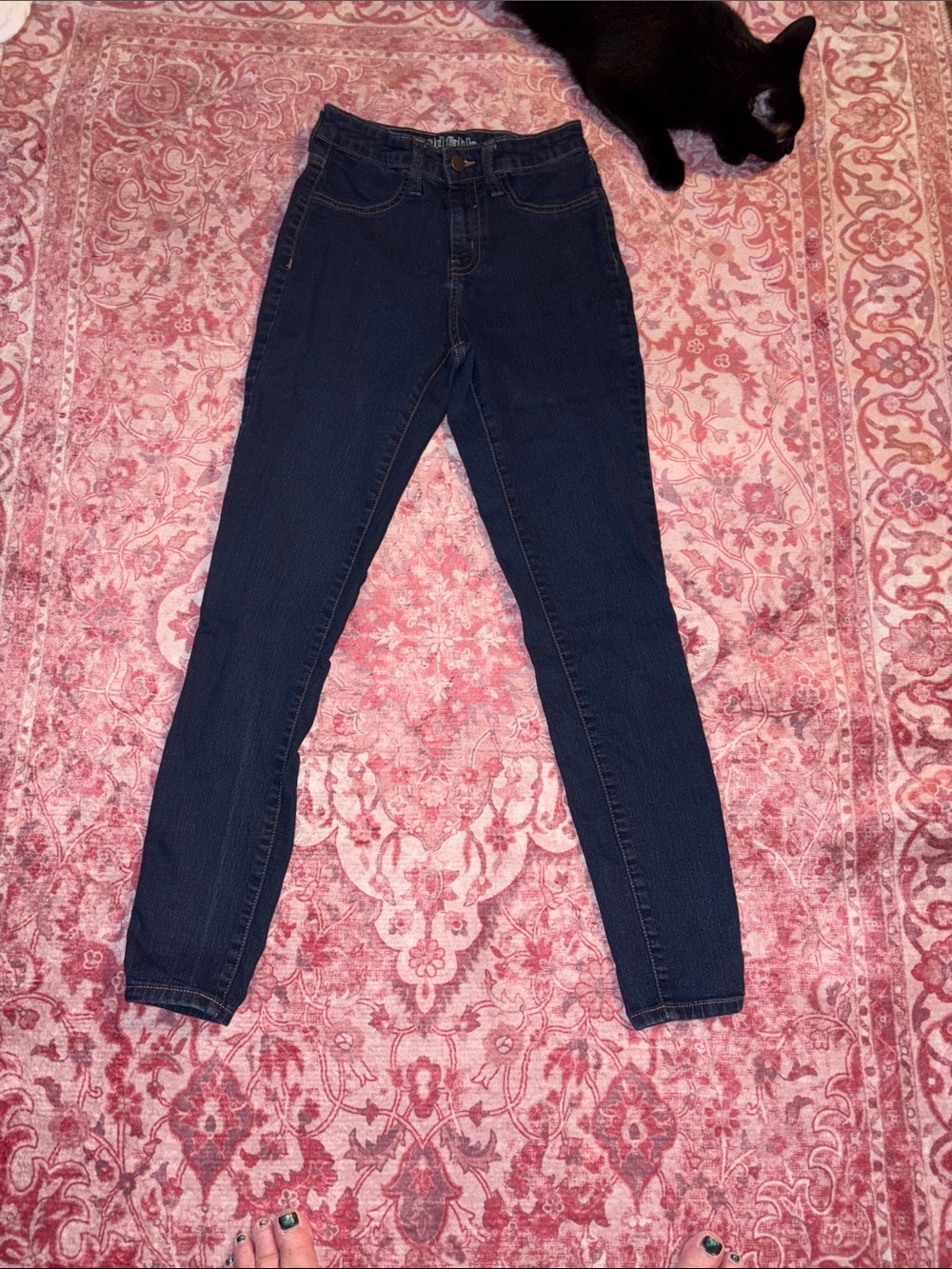 wild fable Dark Blue High-Rise Skinny Jeans